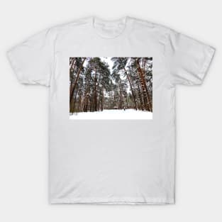 View at the Striginsky Bor Forest Park in Nizhny Novgorod with pine trees, snow, building T-Shirt